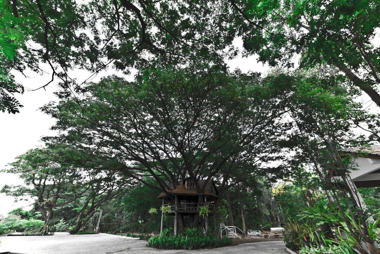 Tree House Hotel Sisaket Extérieur photo